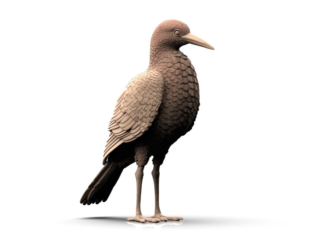 Bird Sculpture 3D print model_12