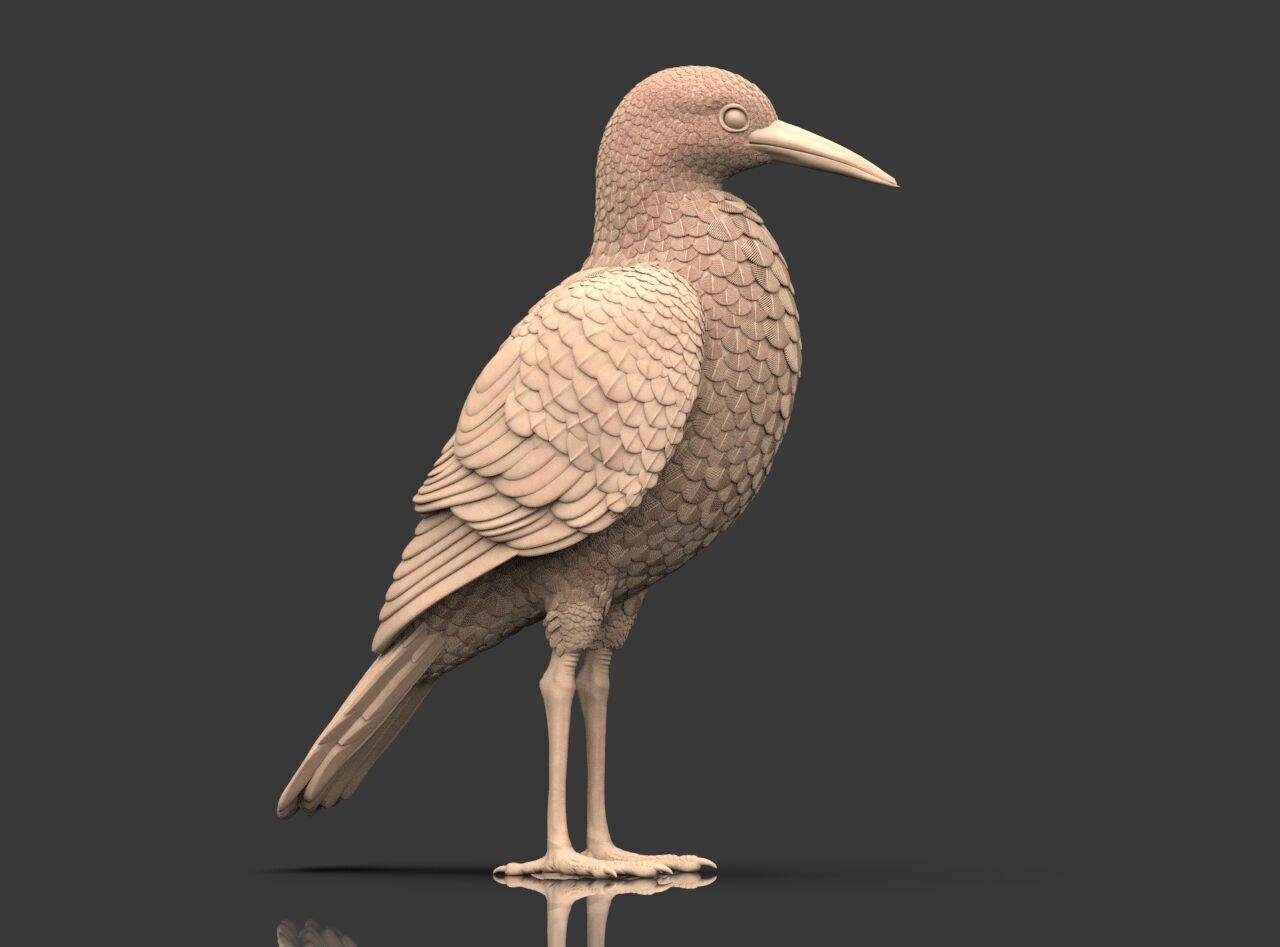 Bird Sculpture 3D print model_4