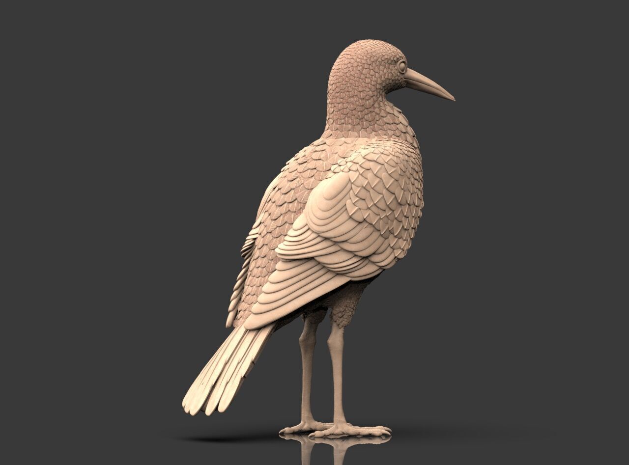 Bird Sculpture 3D print model_11