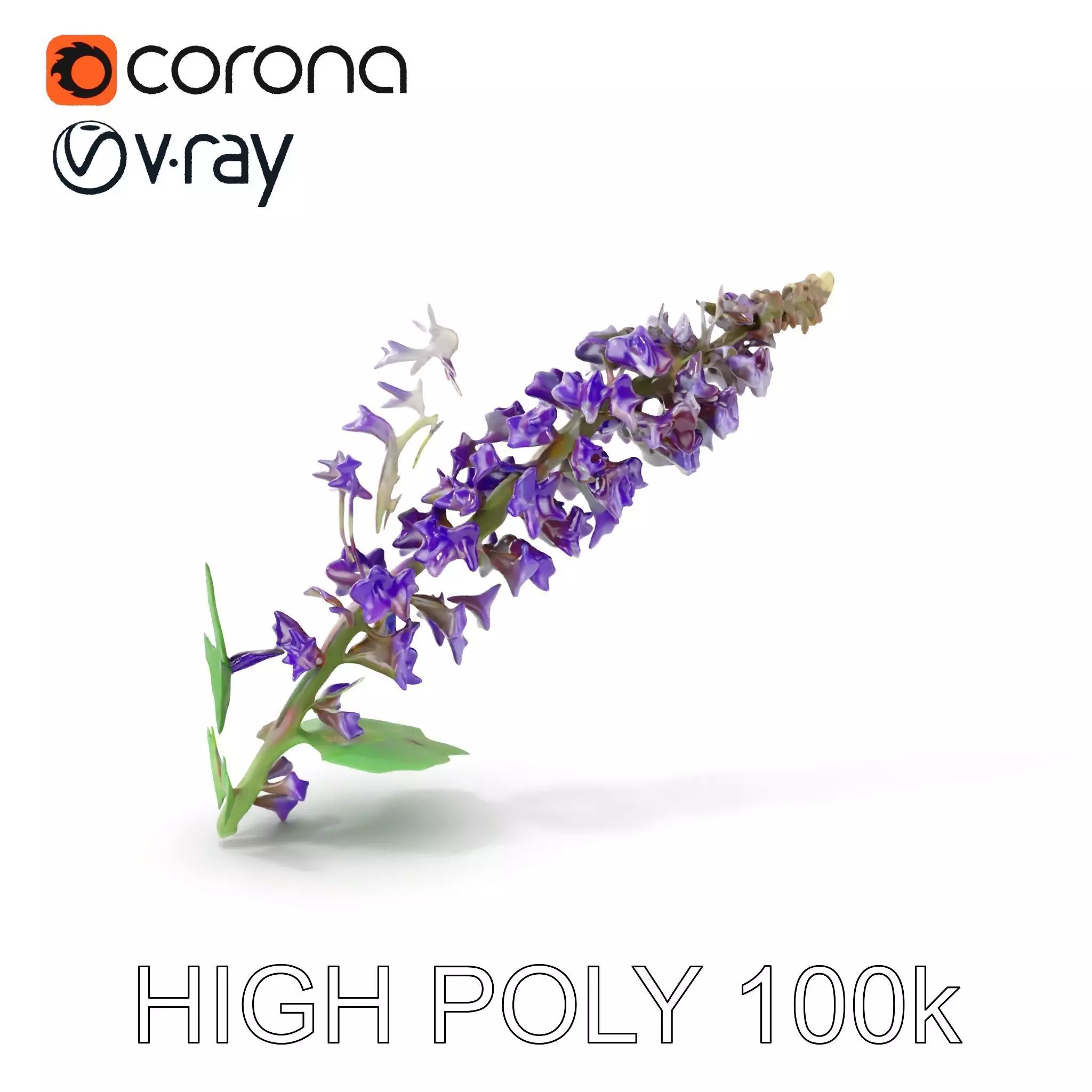 Purple Flower Model Pack with Multiple Levels of Detail Low-poly 3D model_0