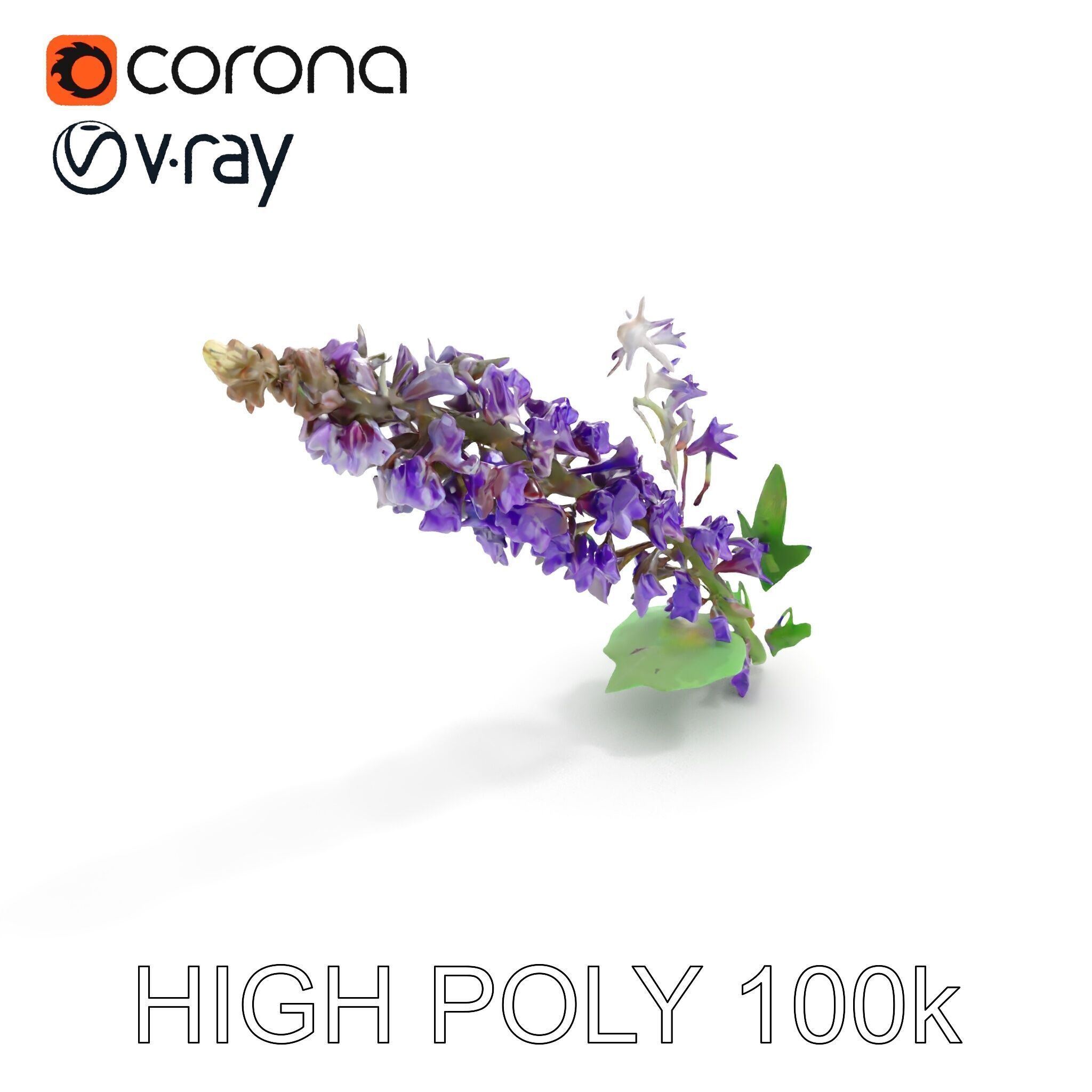 Purple Flower Model Pack with Multiple Levels of Detail Low-poly 3D model_14