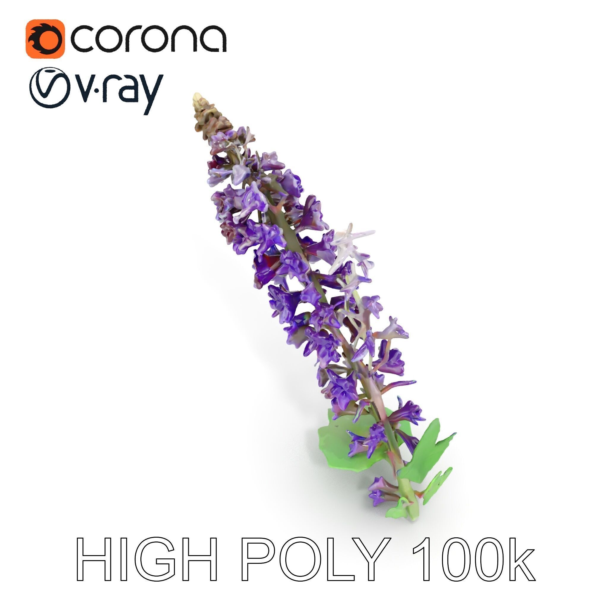 Purple Flower Model Pack with Multiple Levels of Detail Low-poly 3D model_18