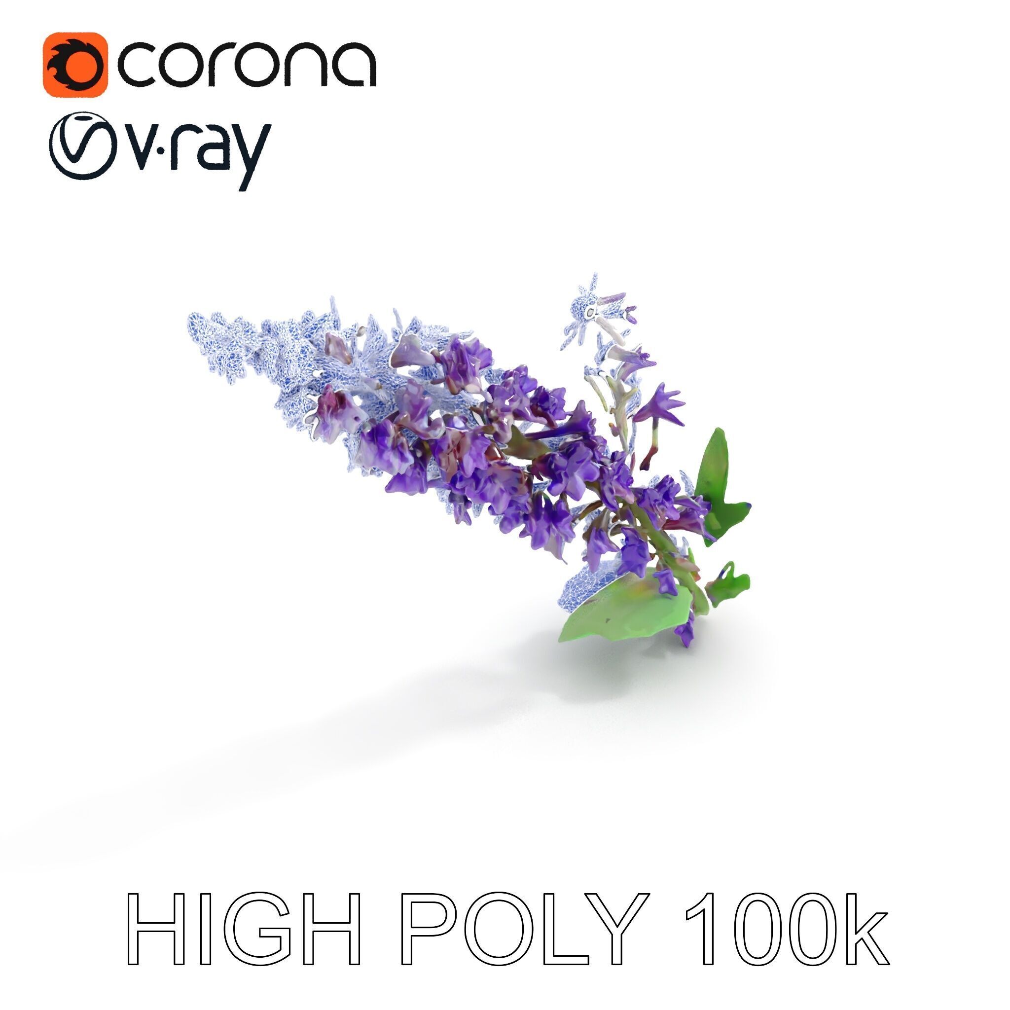 Purple Flower Model Pack with Multiple Levels of Detail Low-poly 3D model_12