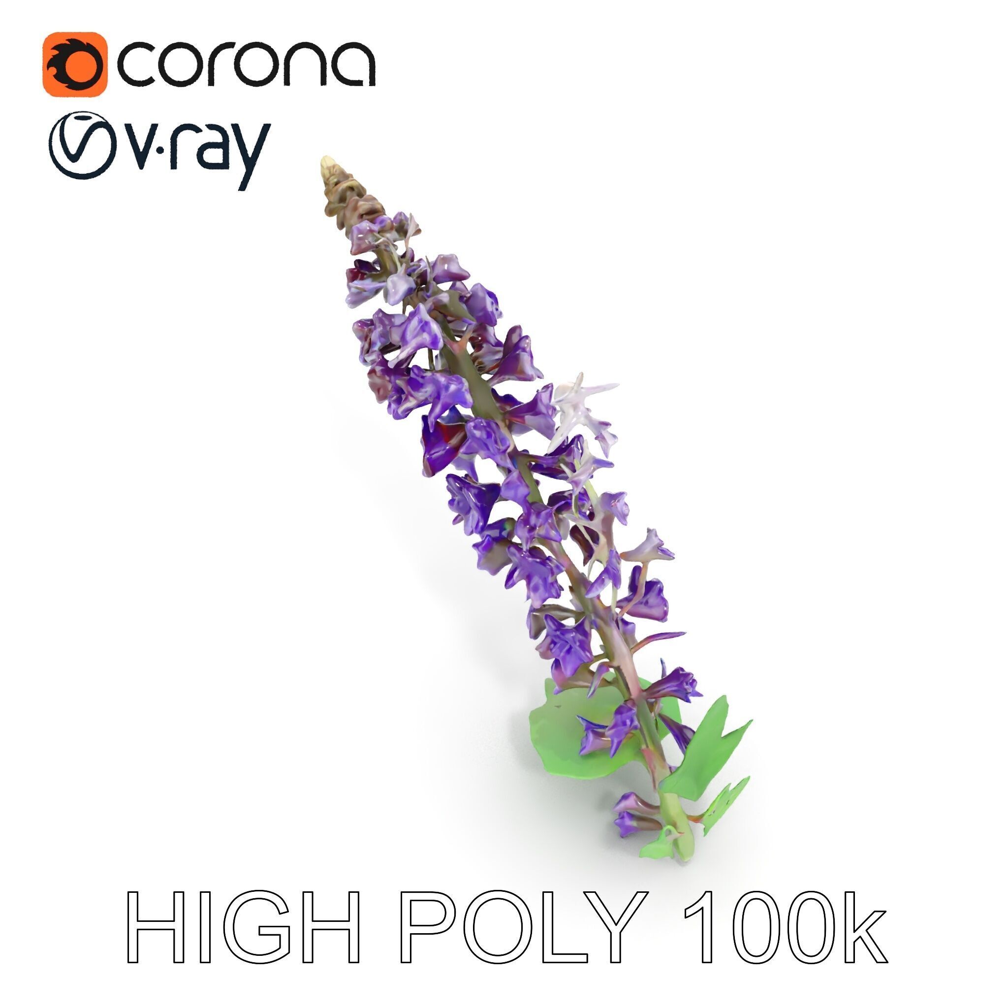 Purple Flower Model Pack with Multiple Levels of Detail Low-poly 3D model_11