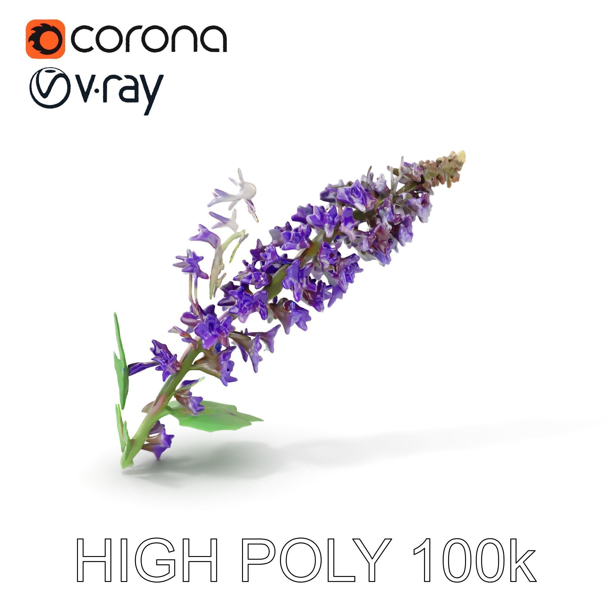 Purple Flower Model Pack with Multiple Levels of Detail Low-poly 3D model_7
