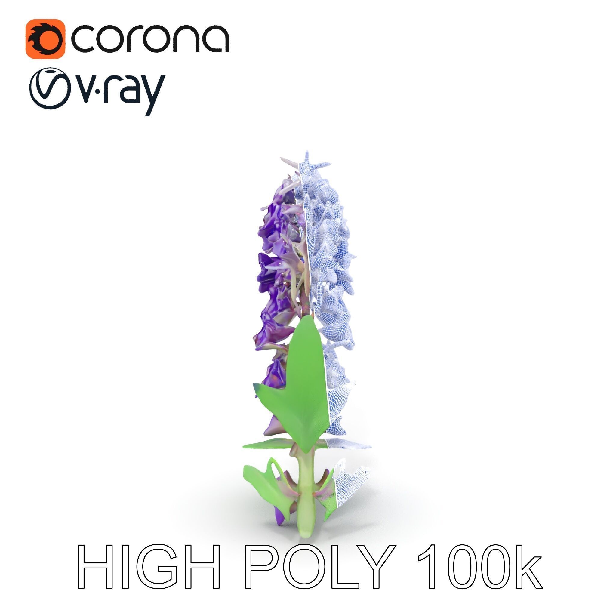 Purple Flower Model Pack with Multiple Levels of Detail Low-poly 3D model_36