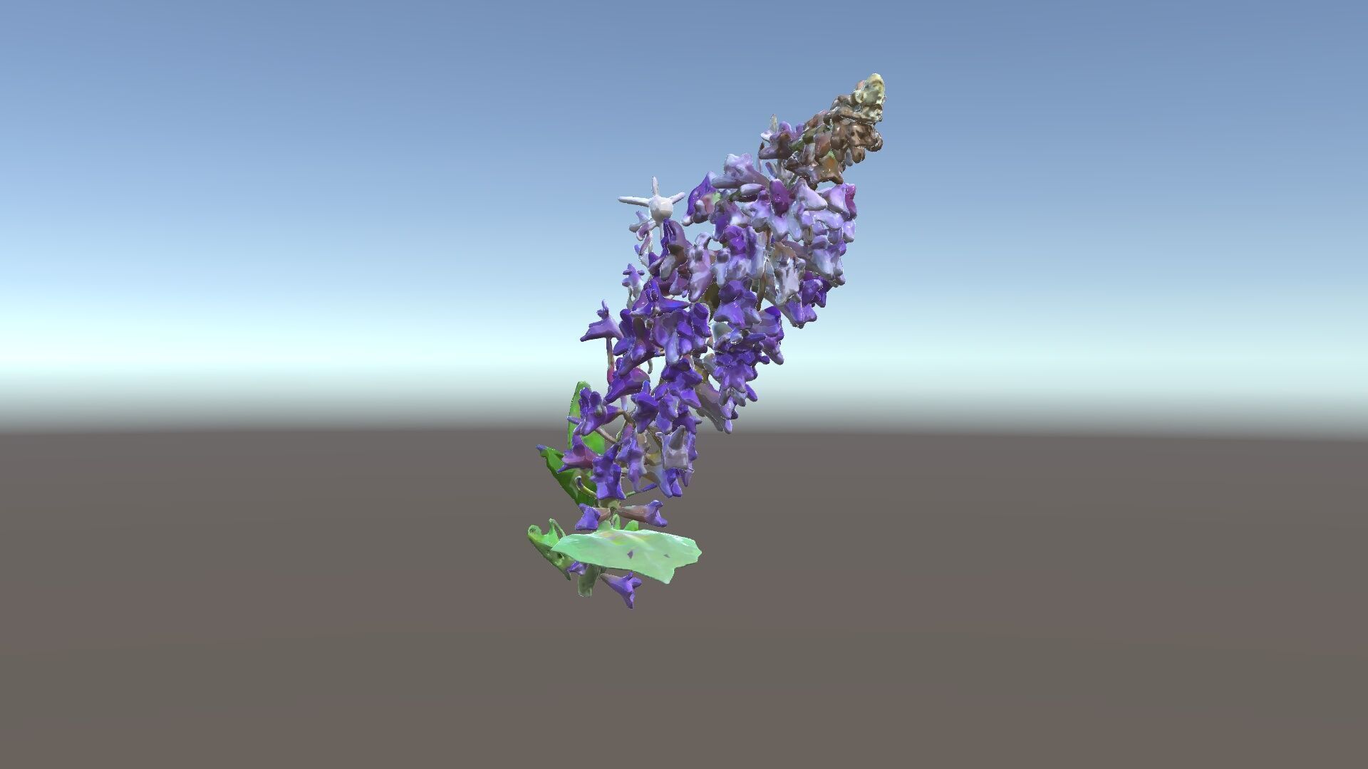 Purple Flower Model Pack with Multiple Levels of Detail Low-poly 3D model_34