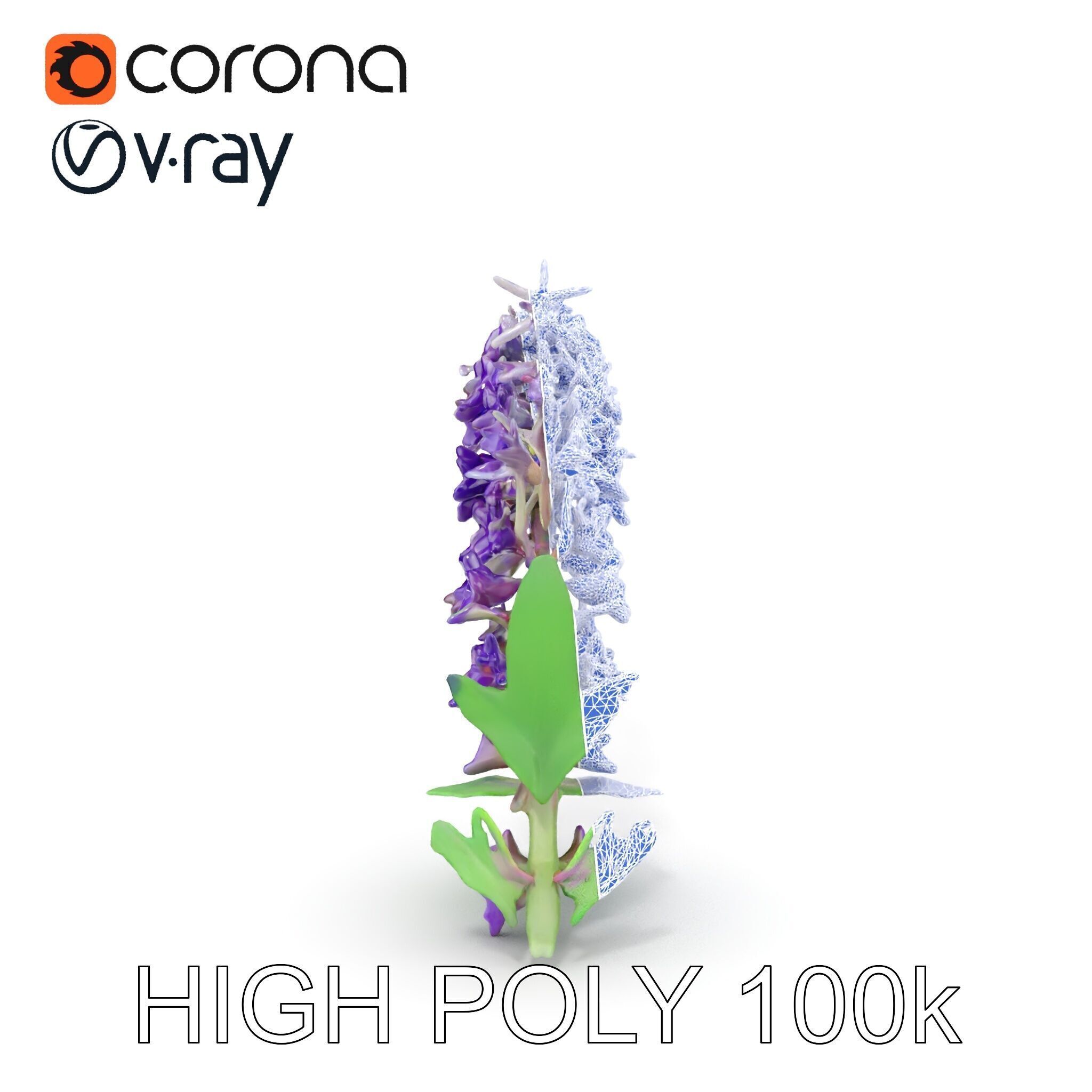 Purple Flower Model Pack with Multiple Levels of Detail Low-poly 3D model_20