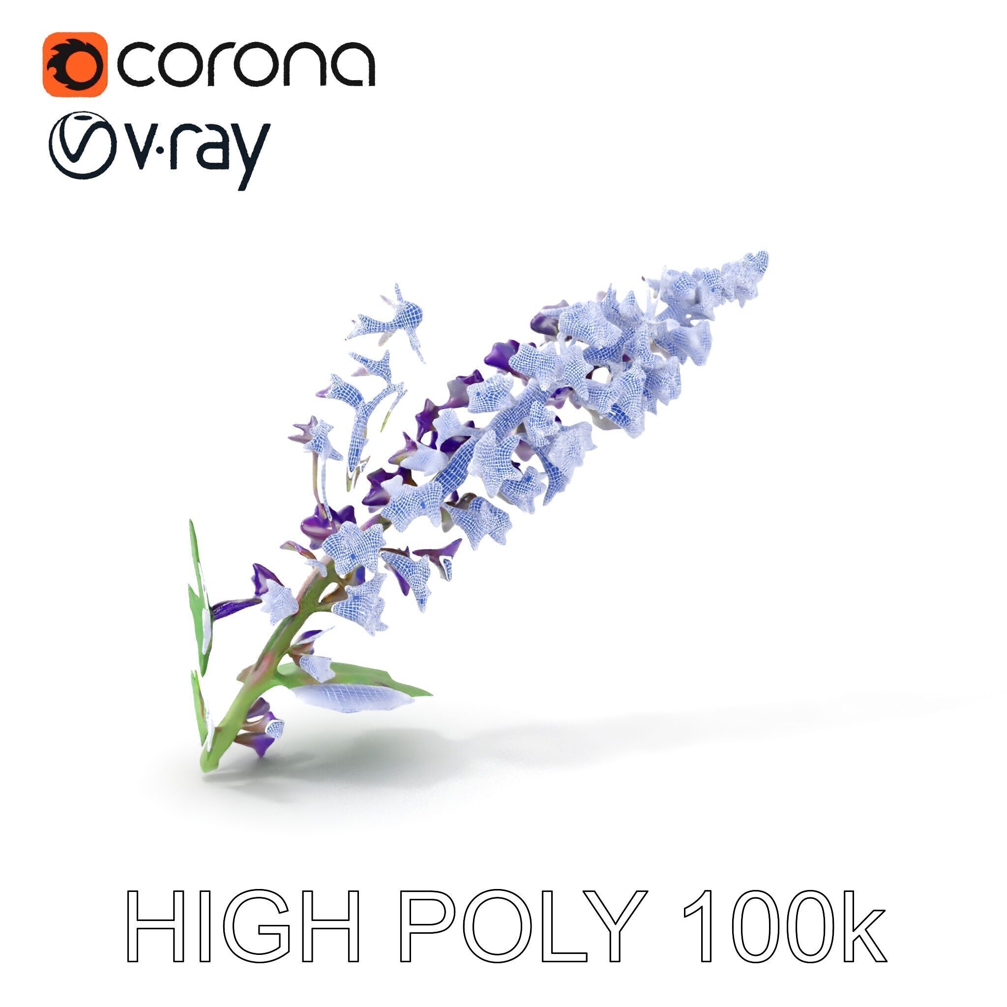 Purple Flower Model Pack with Multiple Levels of Detail Low-poly 3D model_5