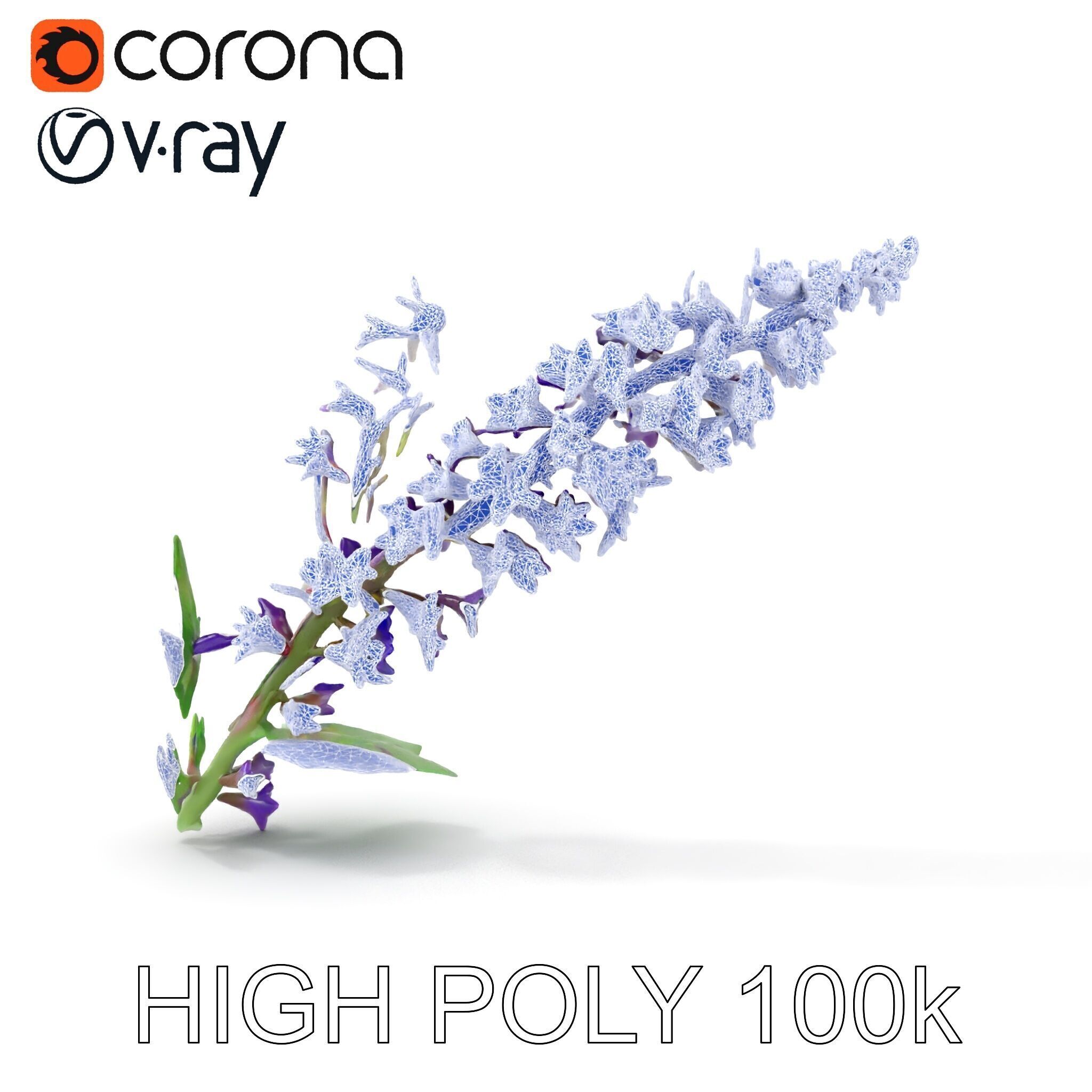 Purple Flower Model Pack with Multiple Levels of Detail Low-poly 3D model_31