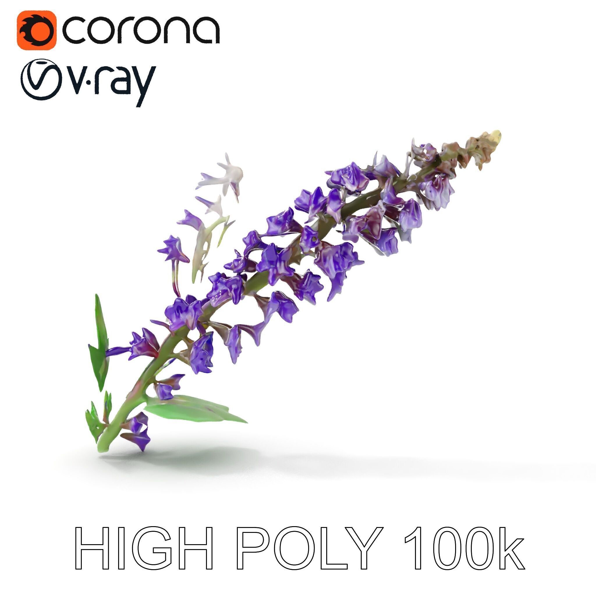 Purple Flower Model Pack with Multiple Levels of Detail Low-poly 3D model_22