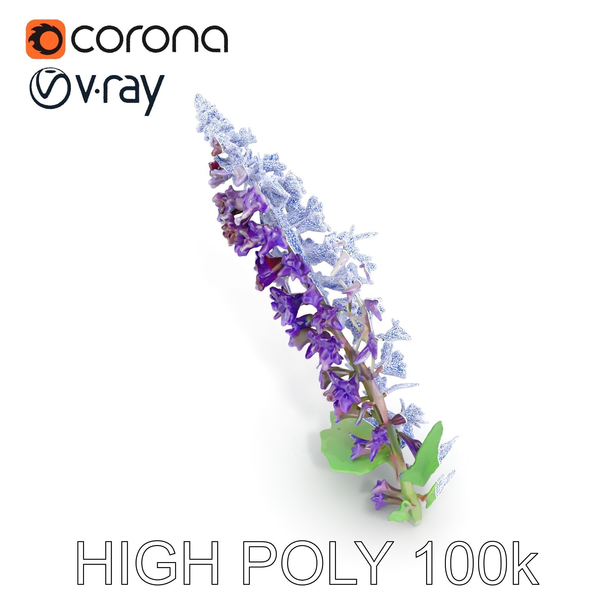 Purple Flower Model Pack with Multiple Levels of Detail Low-poly 3D model_15
