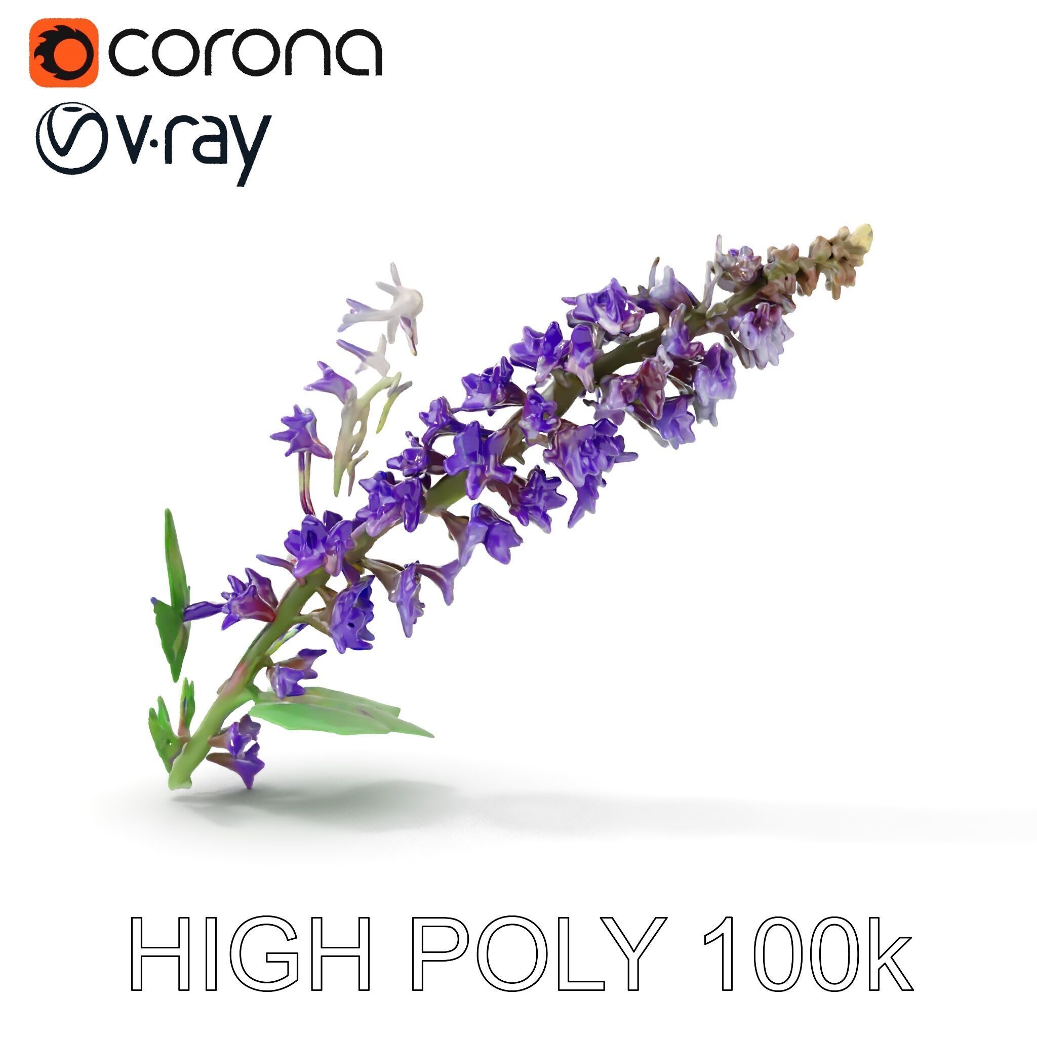 Purple Flower Model Pack with Multiple Levels of Detail Low-poly 3D model_25