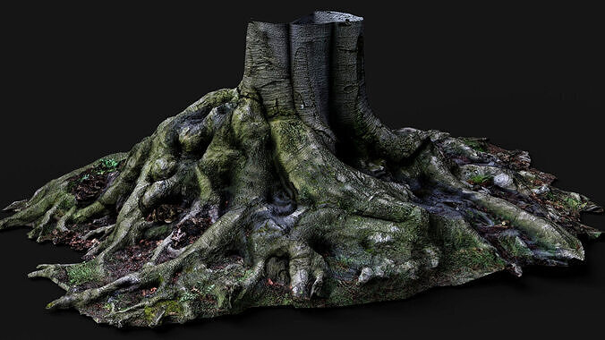wide roots large tree stump PBR photogrammetry Low-poly 3D model
