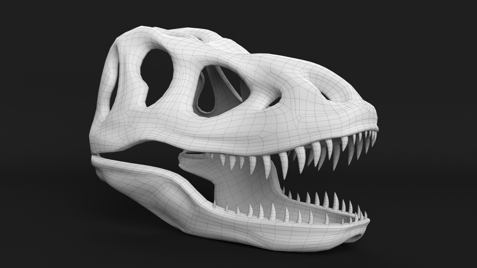 Tyrannosaurus Rex Skull 3D model_9