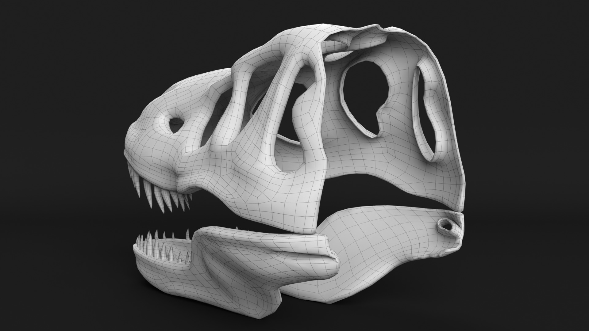 Tyrannosaurus Rex Skull 3D model_10