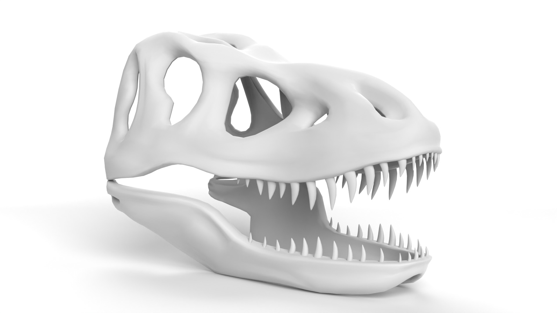 Tyrannosaurus Rex Skull 3D model_8