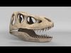 Tyrannosaurus Rex Skull 3D model_1