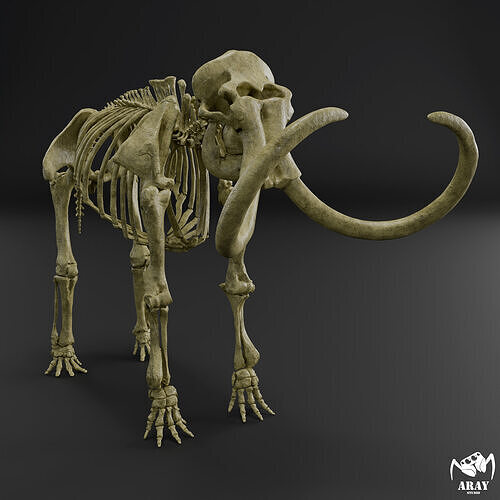 Mammuthus primigenius - woolly mammoth skeleton 3D print model