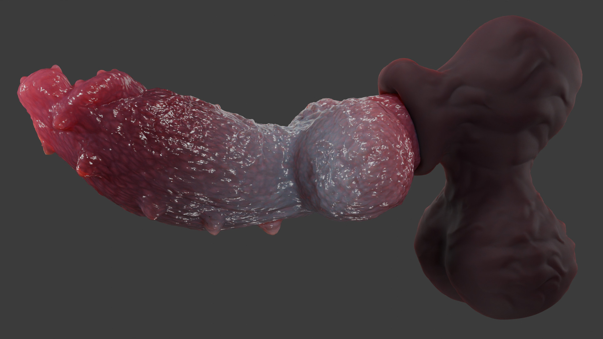 Print Ready Hellhound Dog Penis Toy Mold 3D print model_9