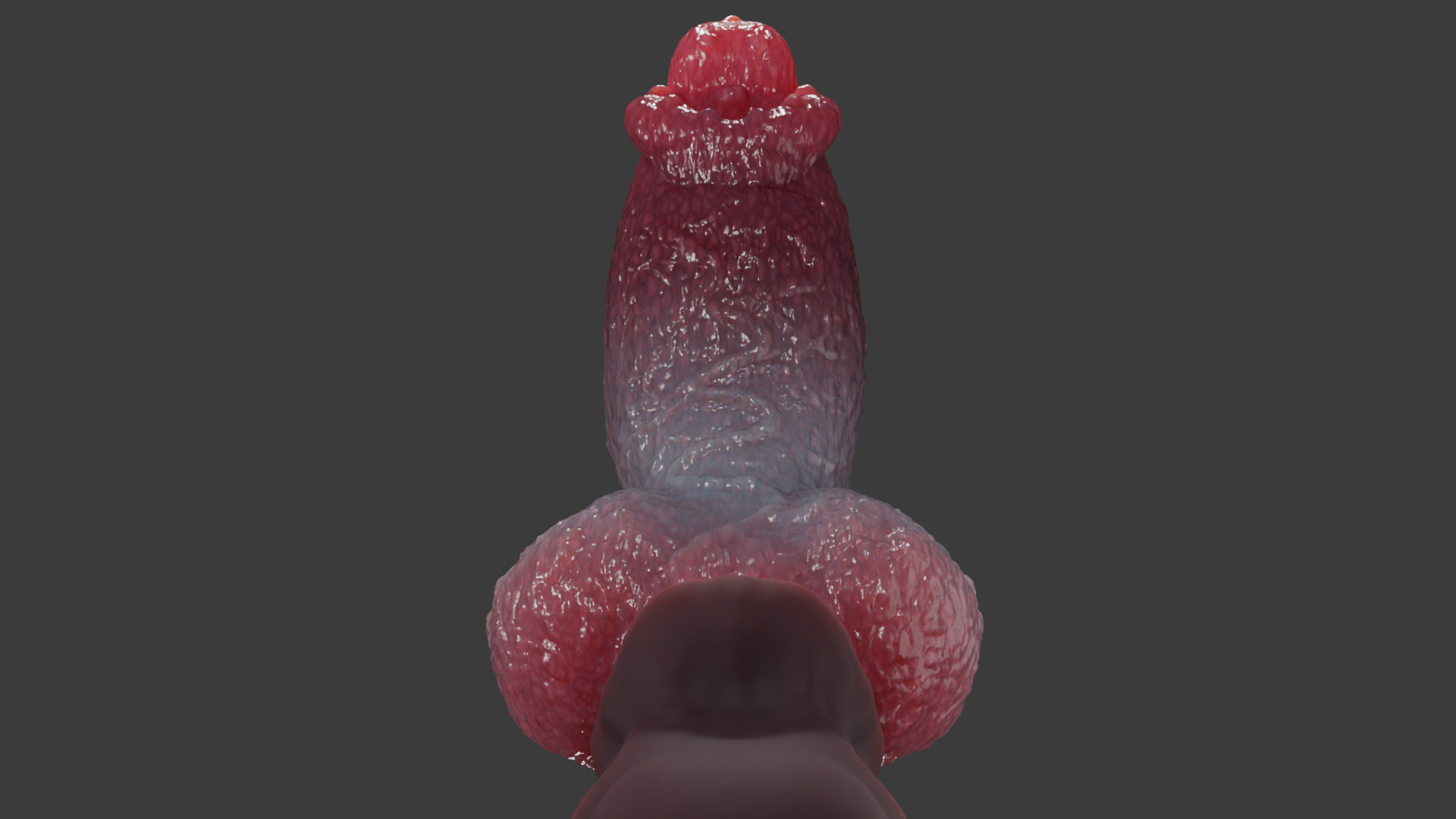 Print Ready Hellhound Dog Penis Toy Mold 3D print model_12