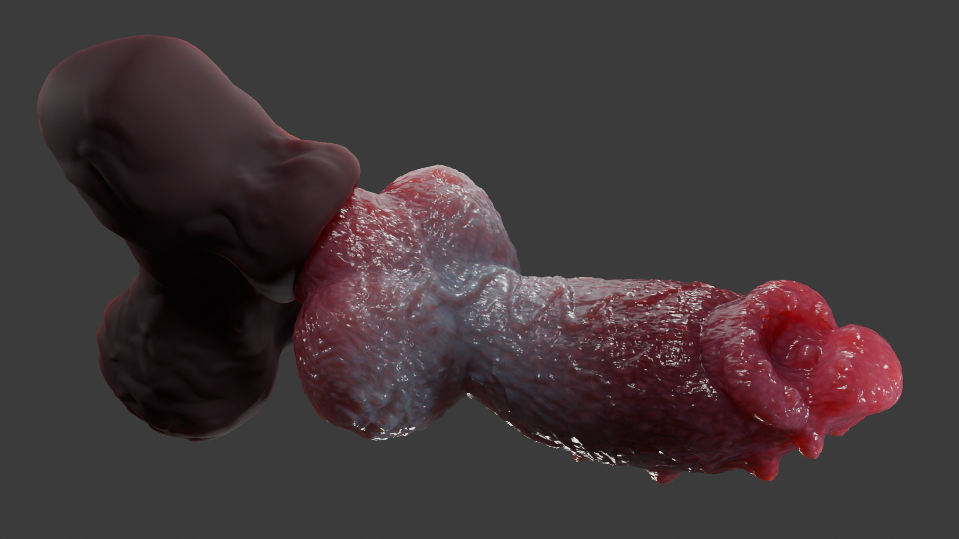 Print Ready Hellhound Dog Penis Toy Mold 3D print model_11