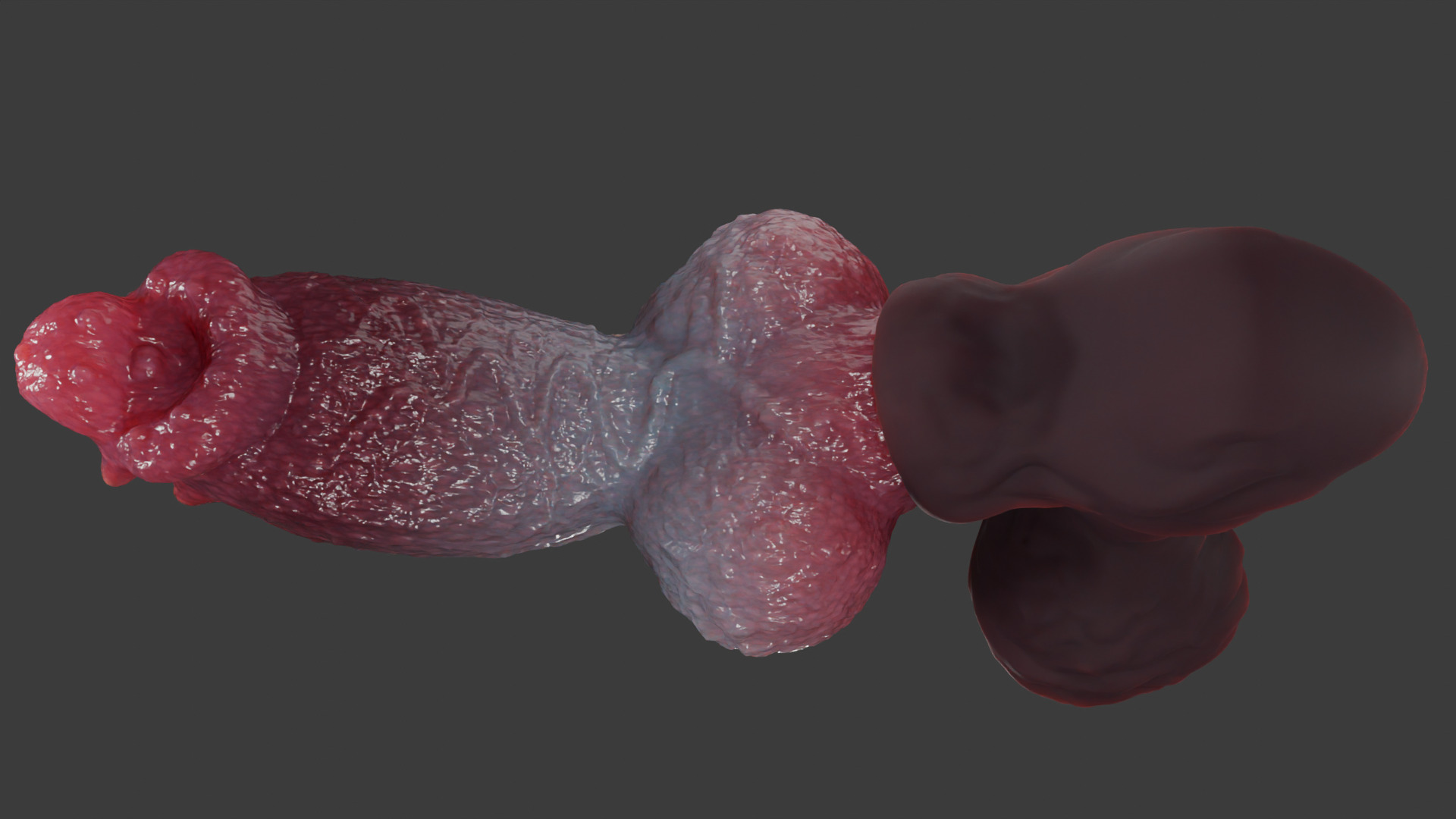Print Ready Hellhound Dog Penis Toy Mold 3D print model_10