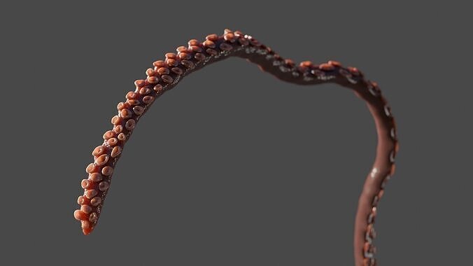 Tentacle low poly Low-poly 3D model