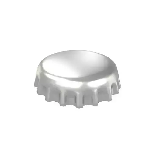 Bottle Cap v1 001