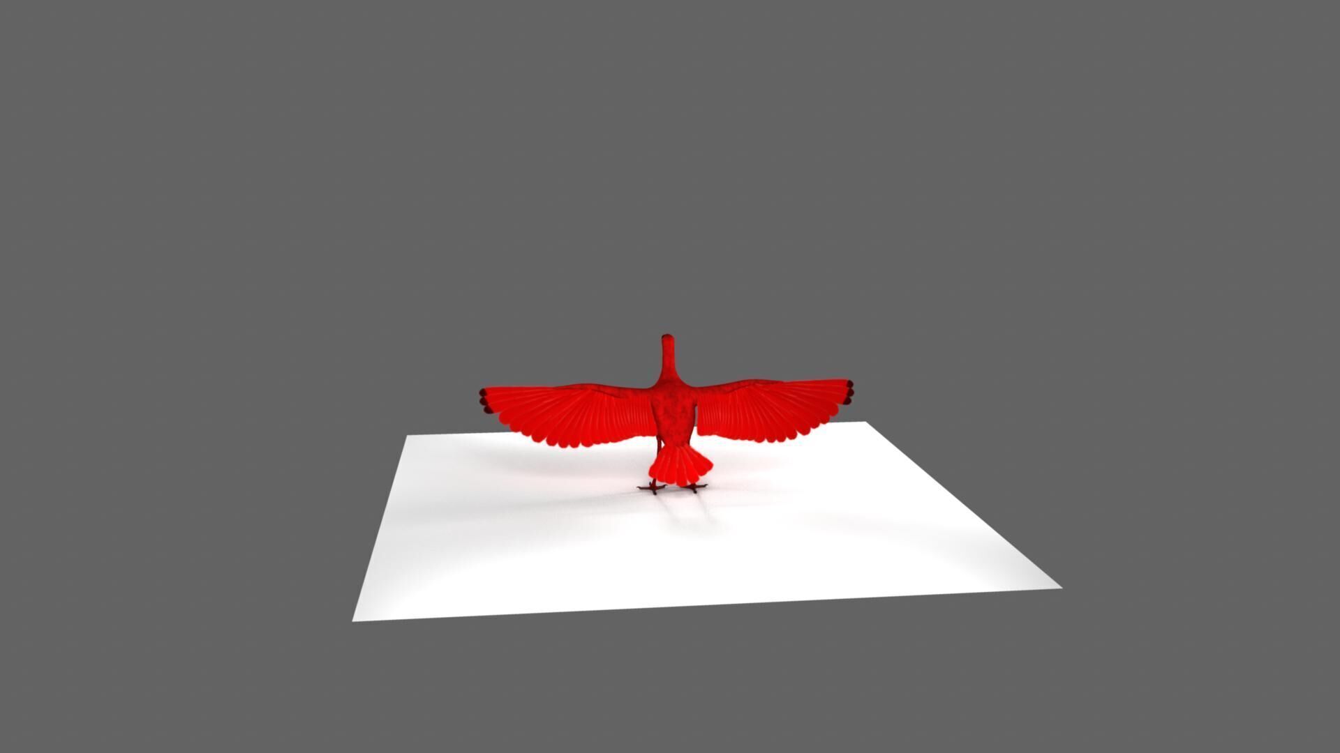 Scarlet ibis 3D model_17