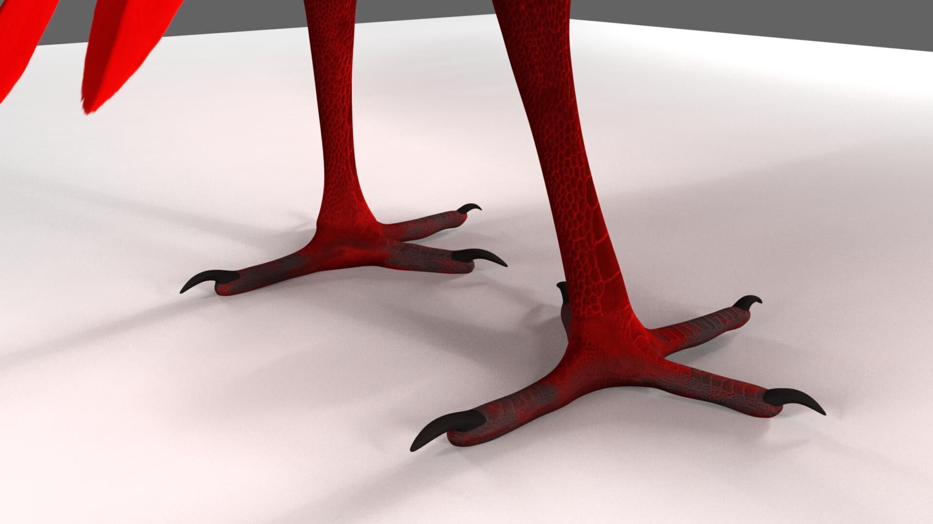 Scarlet ibis 3D model_47