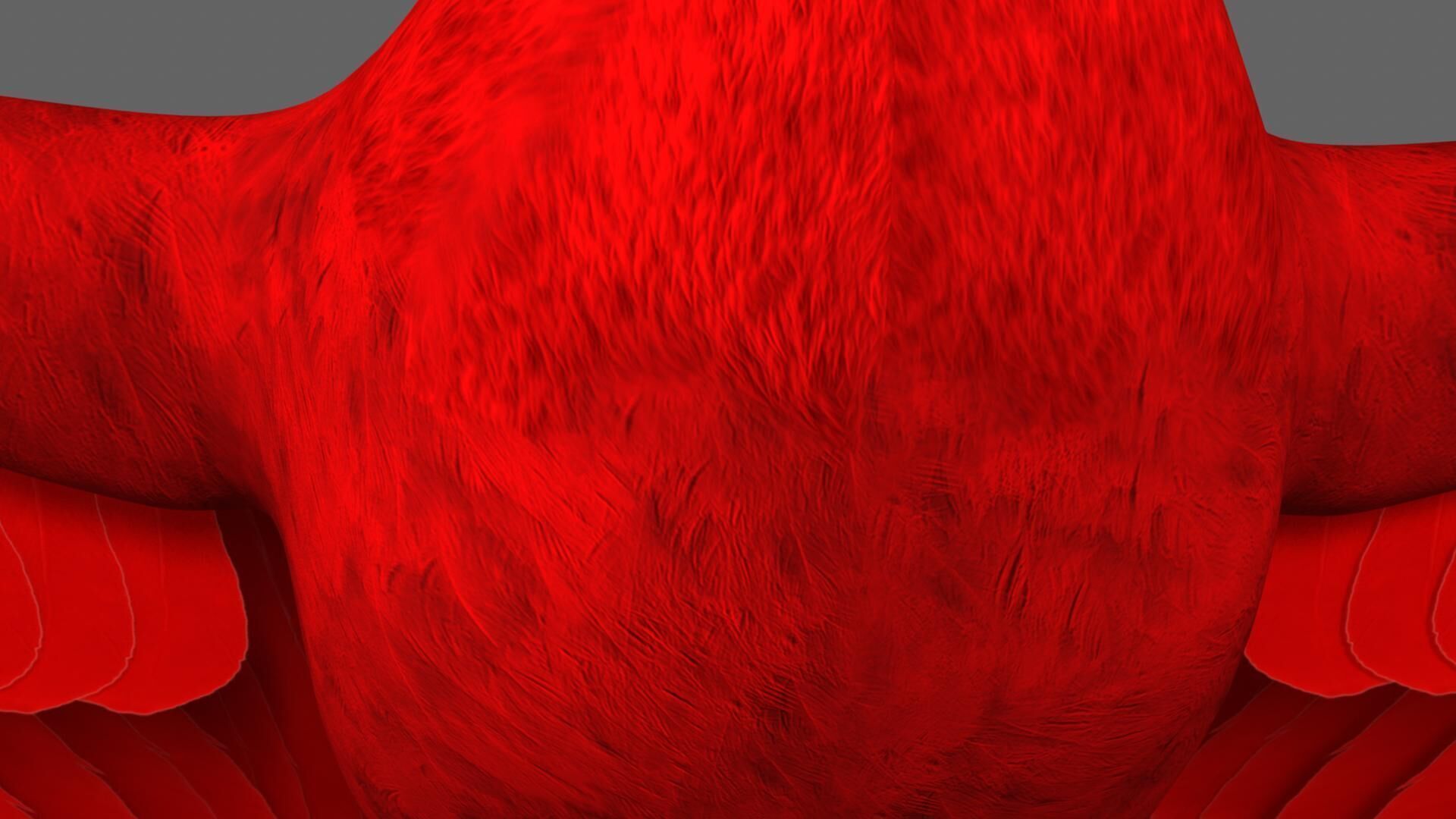 Scarlet ibis 3D model_5