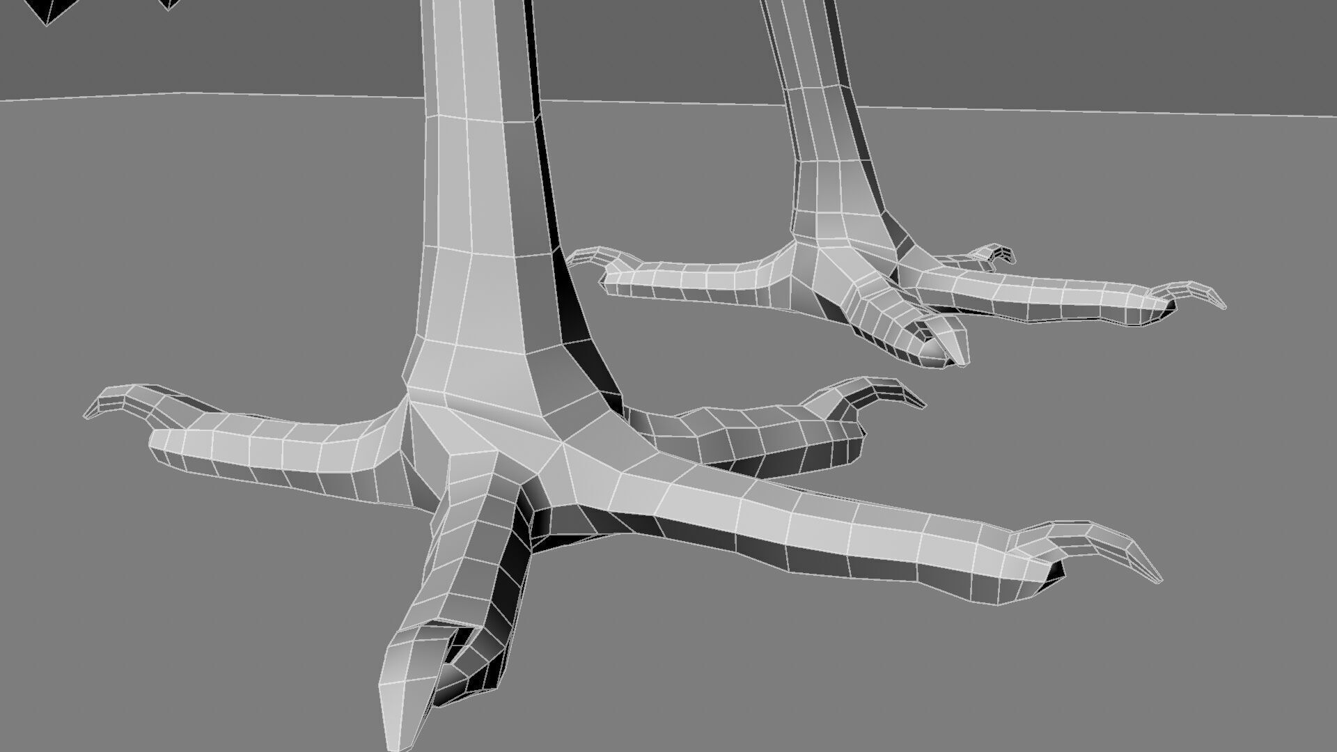 Scarlet ibis 3D model_27