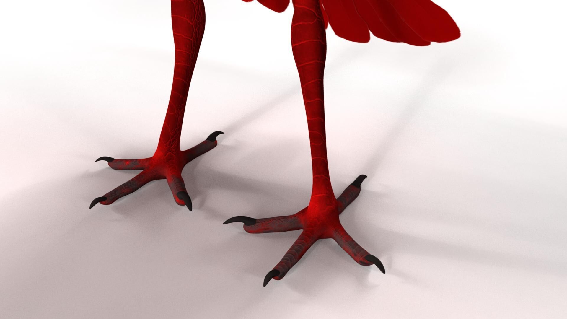 Scarlet ibis 3D model_45
