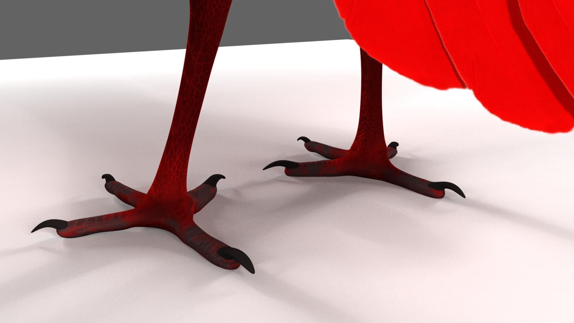 Scarlet ibis 3D model_48