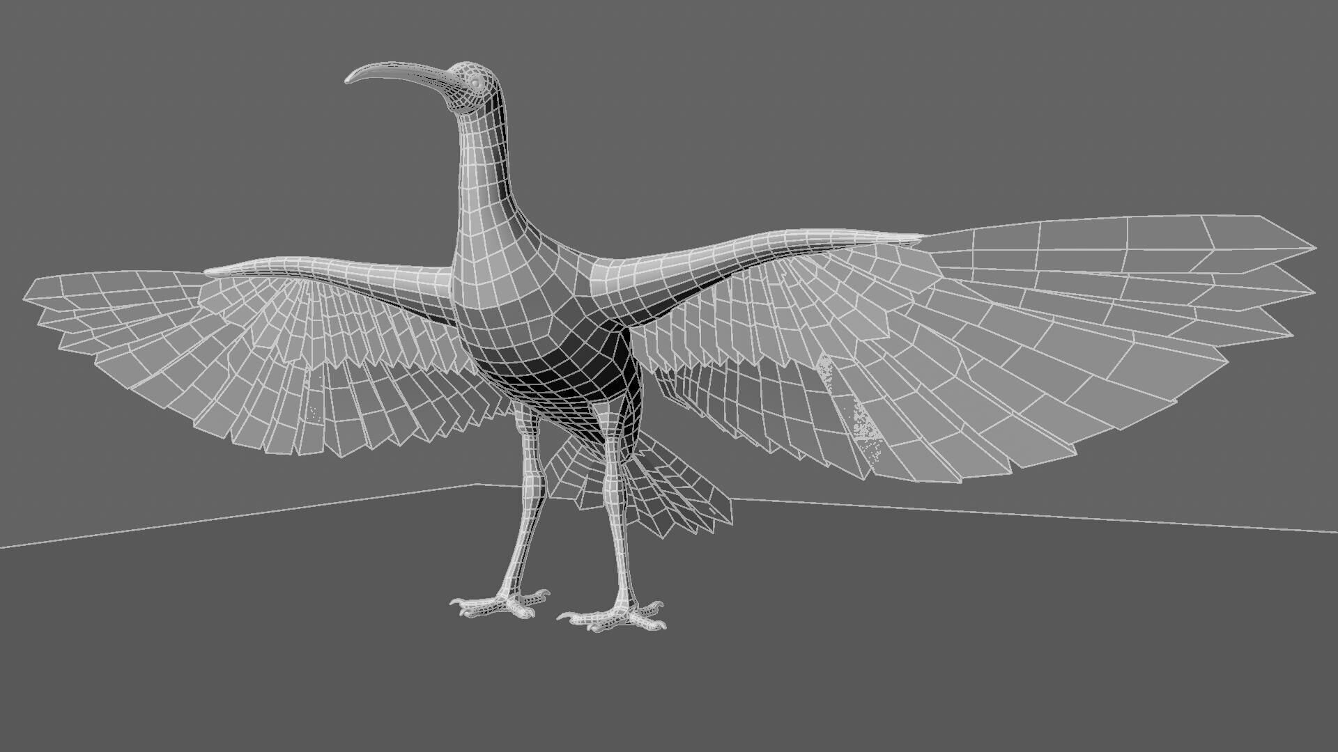 Scarlet ibis 3D model_18