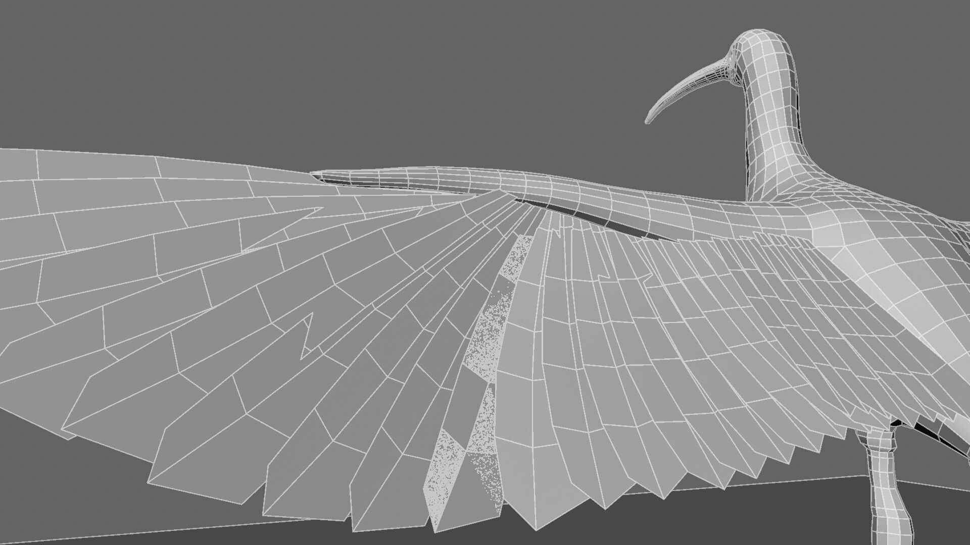 Scarlet ibis 3D model_35