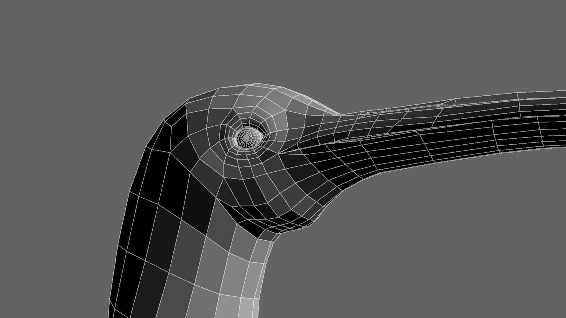 Scarlet ibis 3D model_40