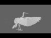 Scarlet ibis 3D model_1