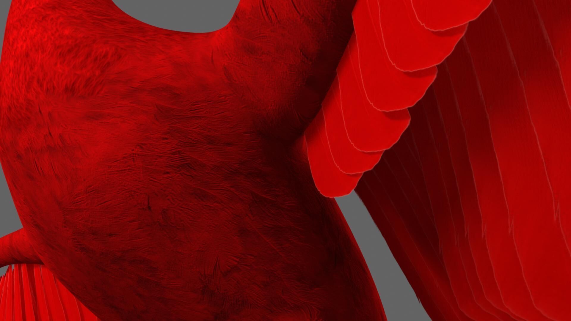 Scarlet ibis 3D model_7