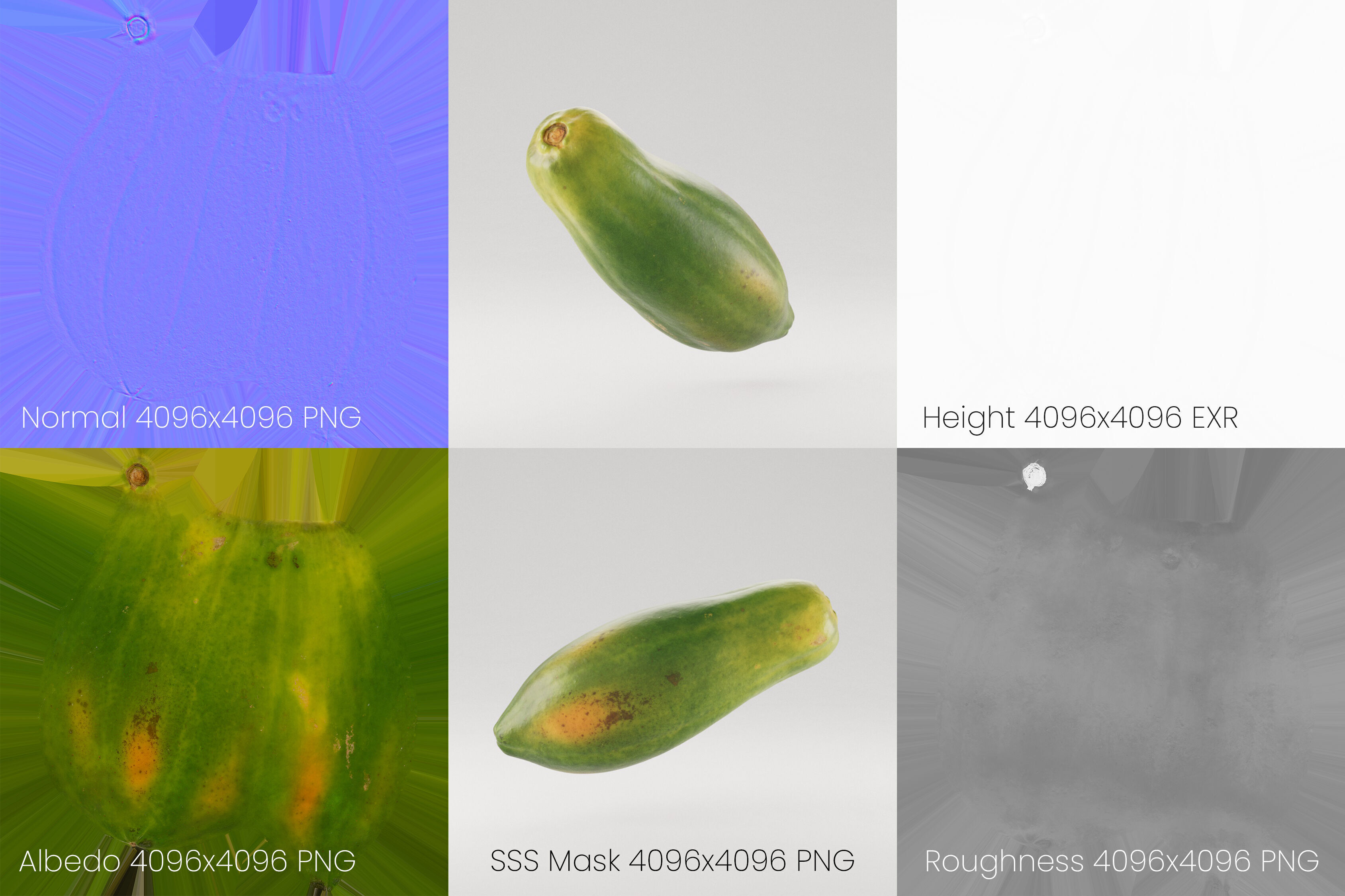 Papaya Fruit 3D model_10