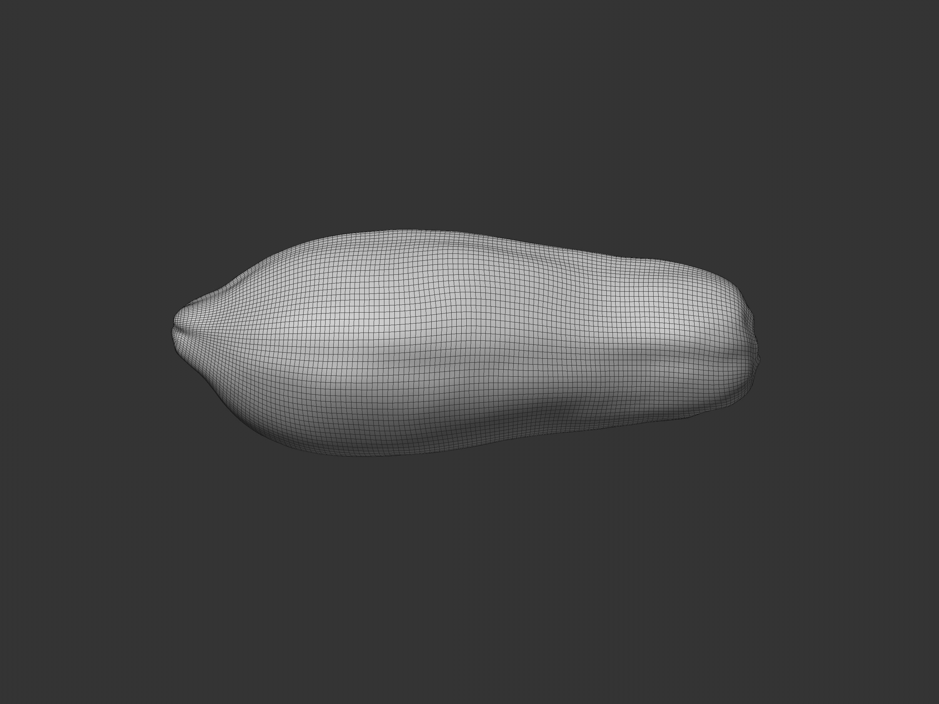 Papaya Fruit 3D model_5