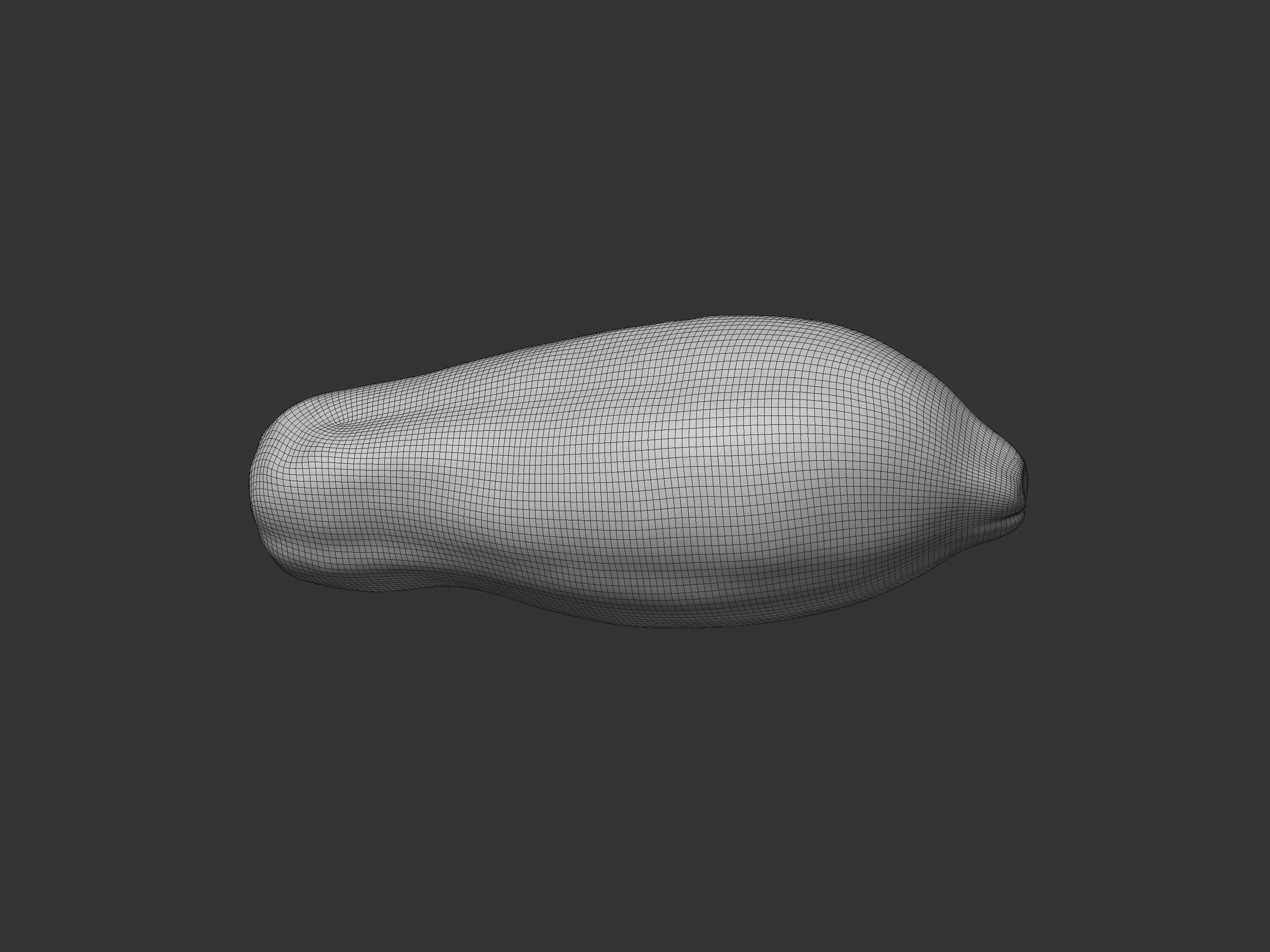 Papaya Fruit 3D model_9