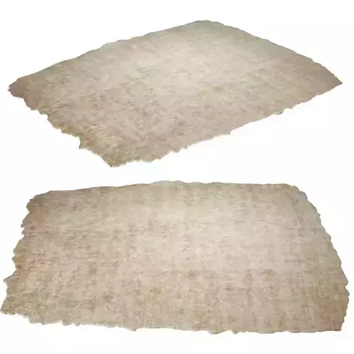  Altelier fern Carpet