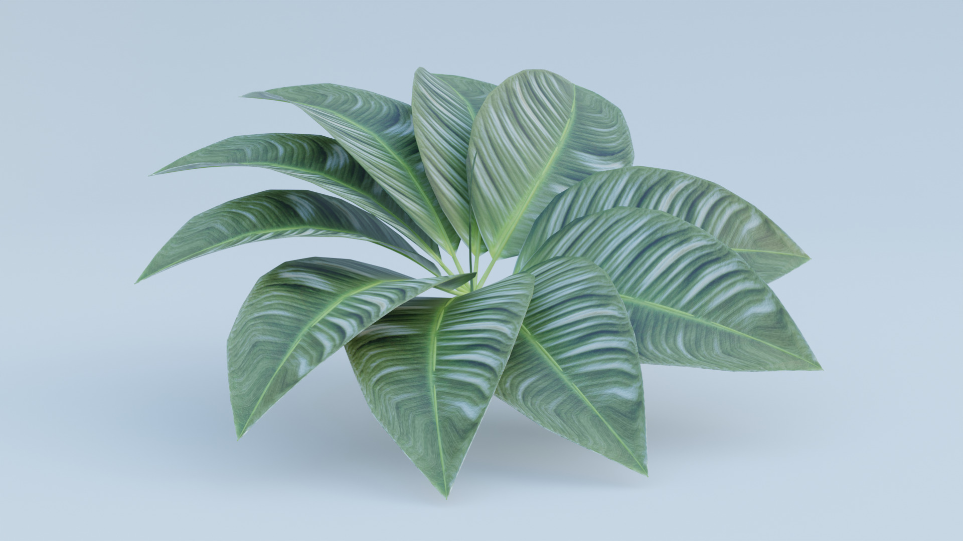 Tropical Decorative Plant with Large Green Leaves 3D Model Low-poly 3D model_1