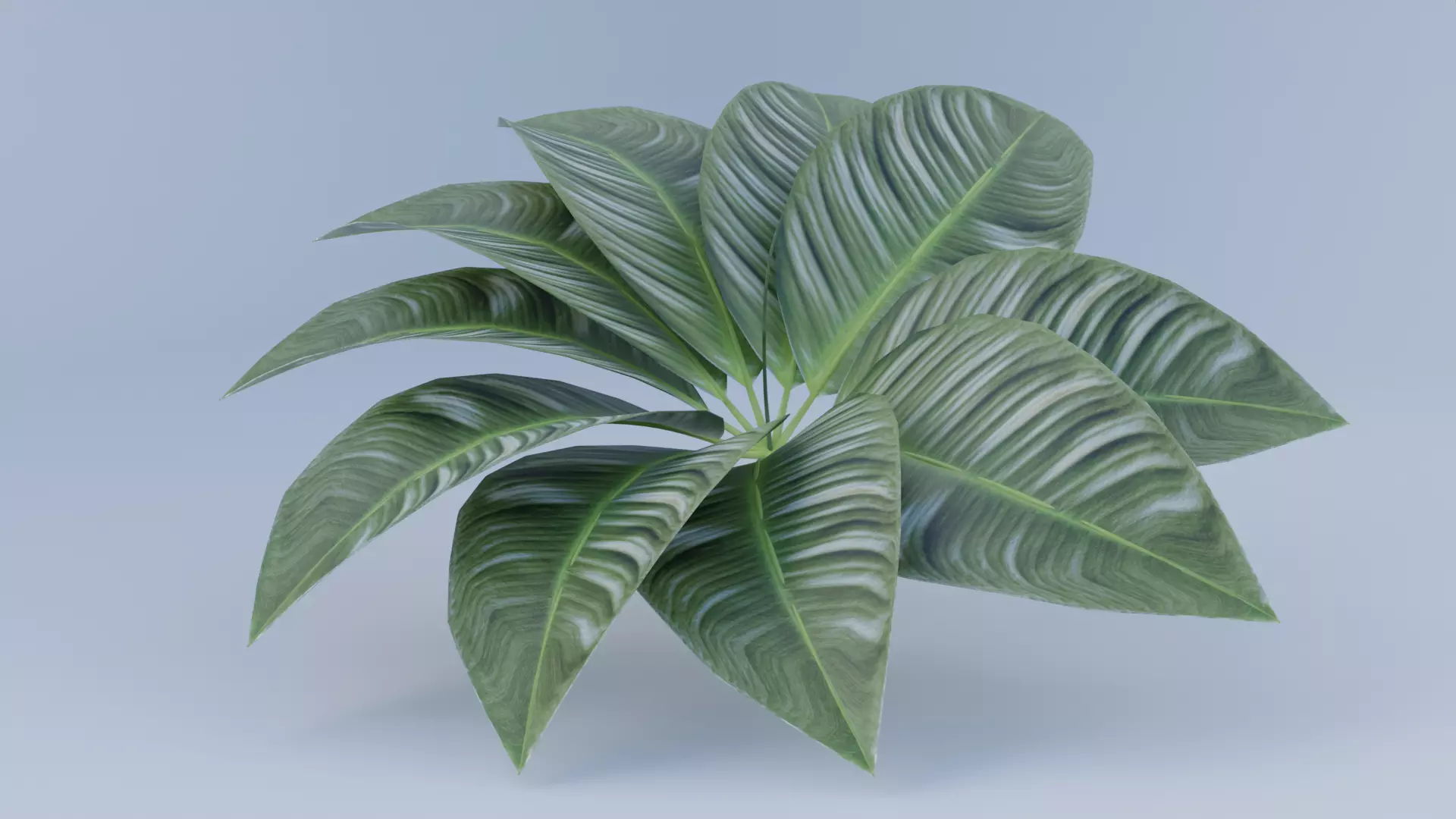 Tropical Decorative Plant with Large Green Leaves 3D Model Low-poly 3D model_0