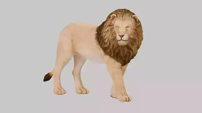  lion 3D Model