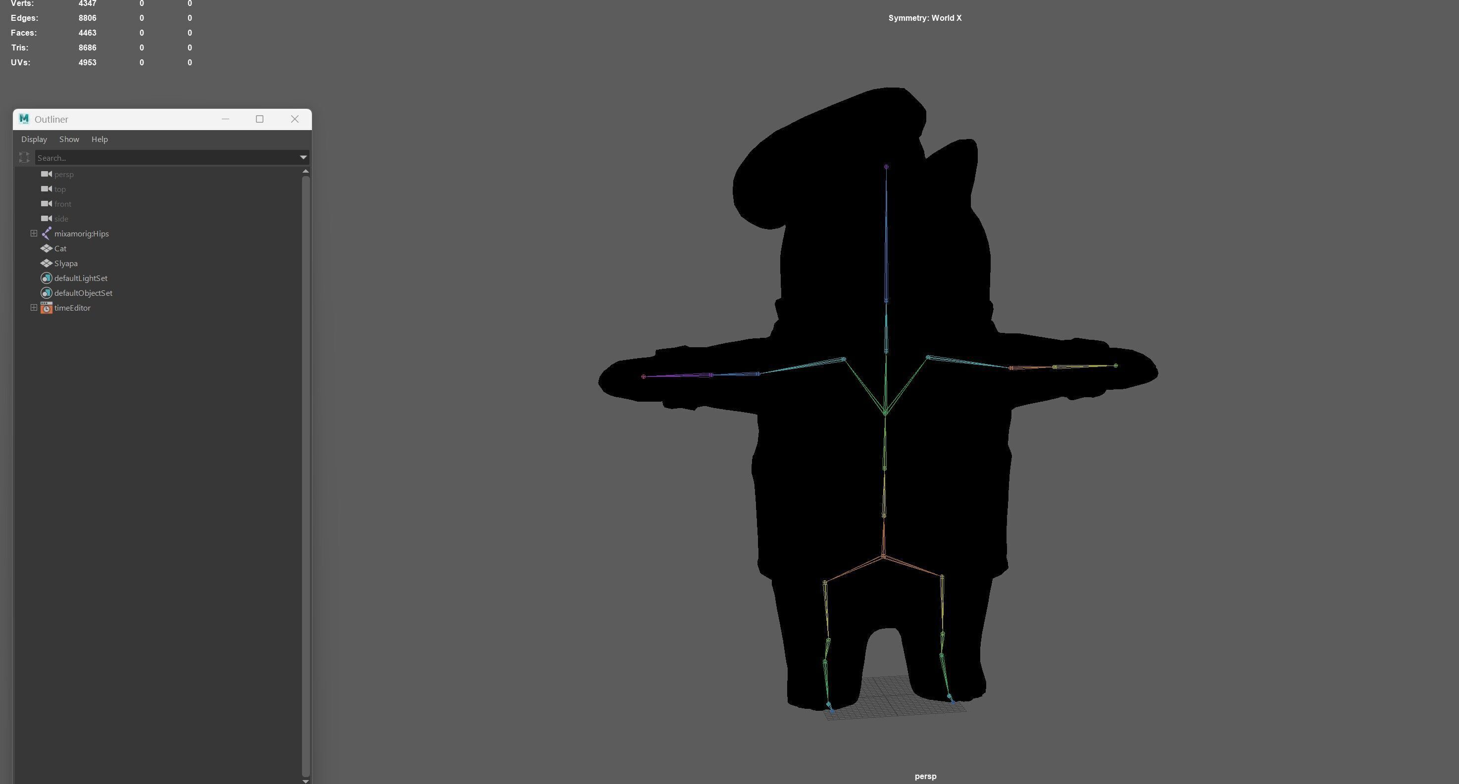 Cook Cat Low-poly 3D model_18