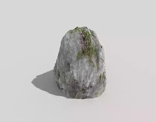 Detailed Rock