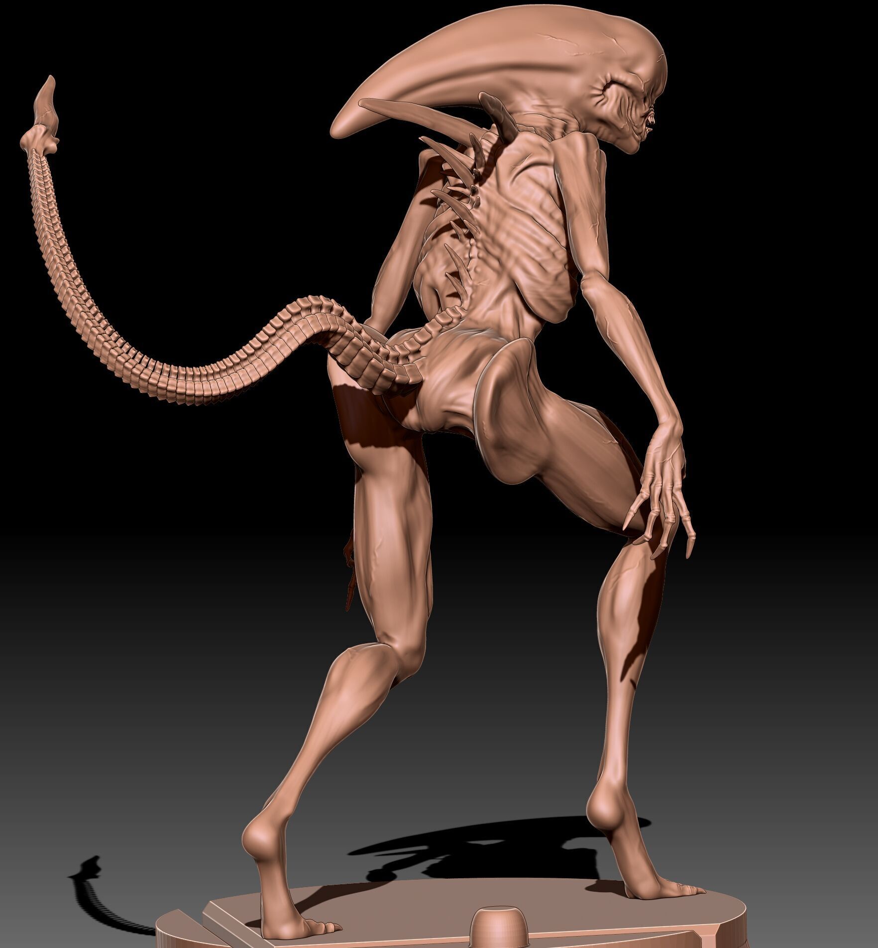 2 versions walking Neomorph 3D print model_5